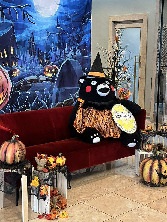 ์์ด๋ค์ด๋ ๊ฐ๊ธฐ ์ ๋ง ์ข์ ๊ตฌ๋ง๋ชจํ ํธํ
, ๋ฏธ์ธ ์ด ๊ฐ๋ ! ์์ด๋ค์ด๋ ๊ฐ๊ธฐ ์ ๋ง ์ข์ ๊ตฌ๋ง๋ชจํ ํธํ
, ๋ฏธ์ธ ์ด ๊ฐ๋ !