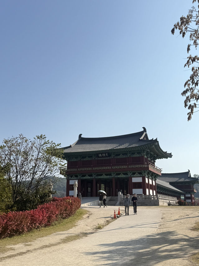 경주 가을여행 가시기 좋은 곳 추천드려요!!😆😆 경주 가을여행 가시기 좋은 곳 추천드려요!!😆😆