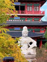 “Whispers of Serenity: The Zen Paradise of Nanjing”