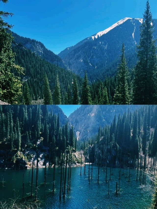 산속에 숨어 있던 비밀 정원을 만난 듯한 순간 산속에 숨어 있던 비밀 정원을 만난 듯한 순간