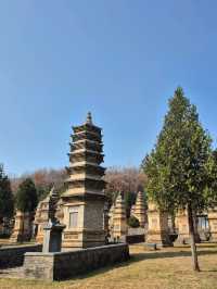 ป่าเจดีย์วัดเส้าหลิน — เงียบ งดงาม ลึกลับ