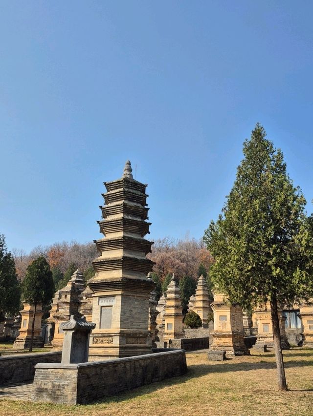 ป่าเจดีย์วัดเส้าหลิน — เงียบ งดงาม ลึกลับ