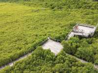 ทุ่งโปรงทอง ระยอง