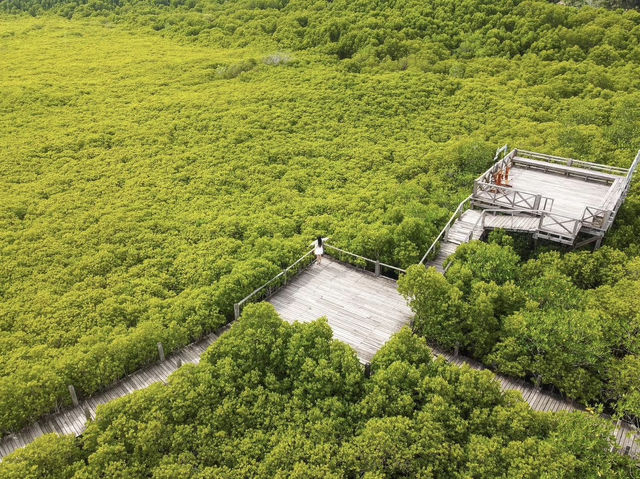 ทุ่งโปรงทอง ระยอง ทุ่งโปรงทอง ระยอง