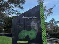 奧克蘭最高嘅火山-超人氣觀景台