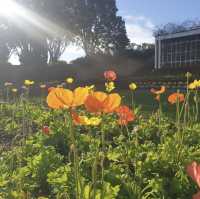 ๐11ๆ็ด่ฅฟ่ญๅฟ
ๅปๆๅกไฝ๏ผMichael Joseph Savage Memorial Parkไฟฏ็ฐๅฅงๅ
่ญๅๅธๆตท็ฃ็พๆฏ