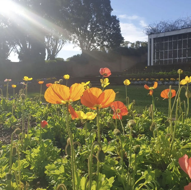 ๐11ๆ็ด่ฅฟ่ญๅฟ
ๅปๆๅกไฝ๏ผMichael Joseph Savage Memorial Parkไฟฏ็ฐๅฅงๅ
่ญๅๅธๆตท็ฃ็พๆฏ ๐11ๆ็ด่ฅฟ่ญๅฟ
ๅปๆๅกไฝ๏ผMichael Joseph Savage Memorial Parkไฟฏ็ฐๅฅงๅ
่ญๅๅธๆตท็ฃ็พๆฏ