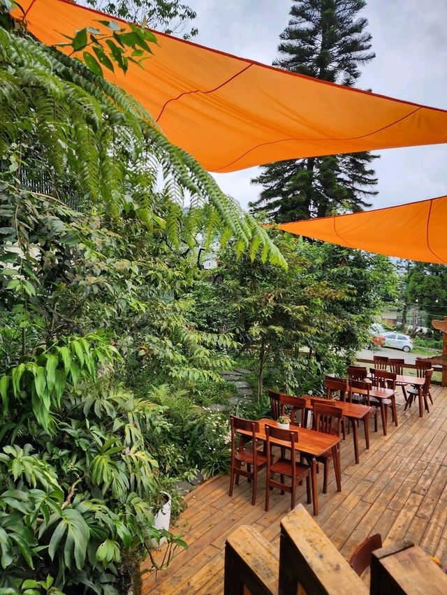 Chillin’ at Gao House & Coffee: Your Cozy Stay in Sapa 🌿✨ Chillin’ at Gao House & Coffee: Your Cozy Stay in Sapa 🌿✨