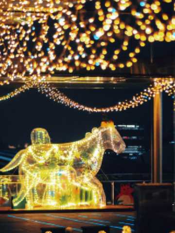 🔥 Shanghai’s Christmas Starry Fairyland: 🎄10K+ Visitors To Flood This Weekend! 