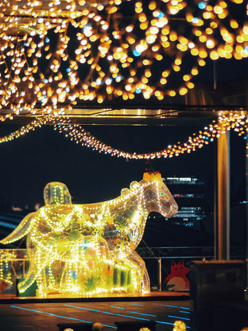 🔥 Shanghai’s Christmas Starry Fairyland: 🎄10K+ Visitors To Flood This Weekend! 