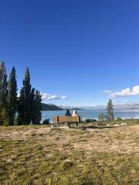 念願のTekapo⛪️⭐️ルピナスが咲き誇ってた!