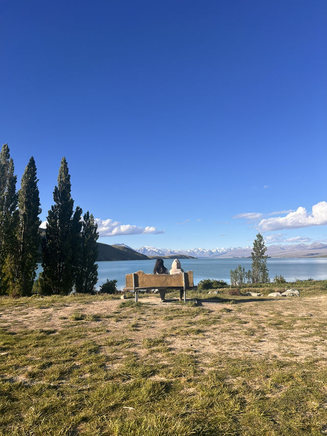 念願のTekapo⛪️⭐️ルピナスが咲き誇ってた! 念願のTekapo⛪️⭐️ルピナスが咲き誇ってた!
