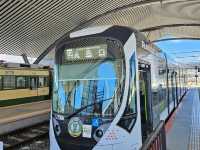 #원폭의 도시 히로시마에는 왜 사슴이 살까?