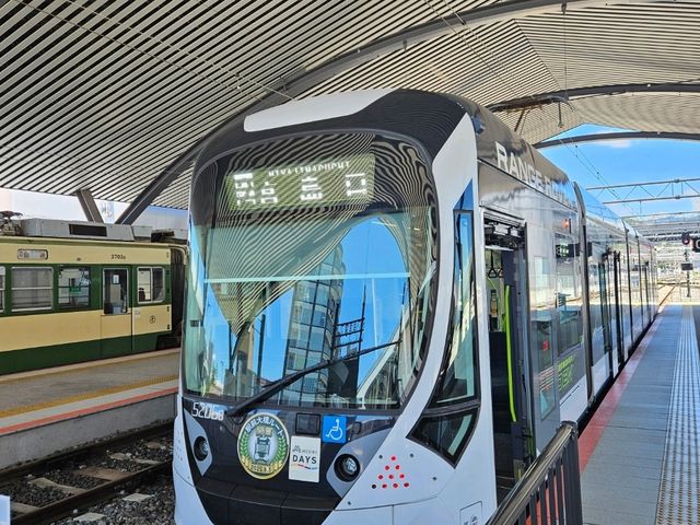 #원폭의 도시 히로시마에는 왜 사슴이 살까?