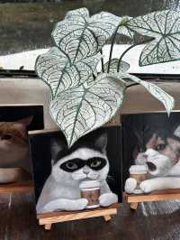 Rainforest Escape🌴