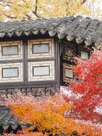 【拙政园】蘇州の秋を象徴するような🍁穏やかで美しい時間でした🍁