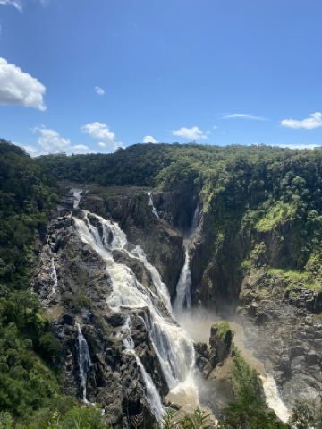 Приглашение в джунгли! Национальный парк Баррон Гордж в Кэрнсе.