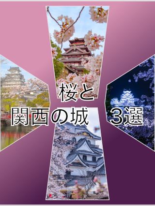 [เกียวโต, ชิงะ, เฮียวโกะ] ดอกซากุระและปราสาทในภูมิภาคคันไซ: 3 สถานที่ที่ควรไปเยือน