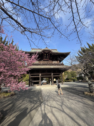 Kenchō-ji 建長寺。 | Trip.com 鎌倉