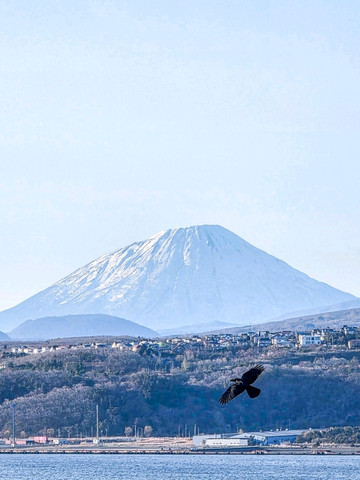 壮大な白鳥大橋と幻想的な夜景のコラボレーション、室蘭「祝津公園展望