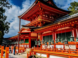 奈良《春日大社與鹿群文化探索》