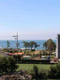 [제주 서귀포 숙소 추천] 박수기정과 제주바다가 보이는 커먼스테이