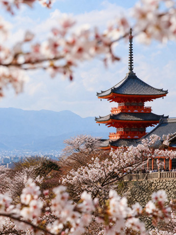 Blossom2点 Under RM2000 for Japan Sakura Season! Peak Season Saver🎒🌸 | Trip