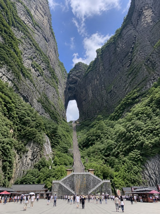 🌿 探索中國張家界的精彩之處 🇨🇳⛰️