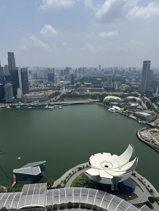 Sands SkyPark: the viewpoint where Singapore looks like the future 🌆