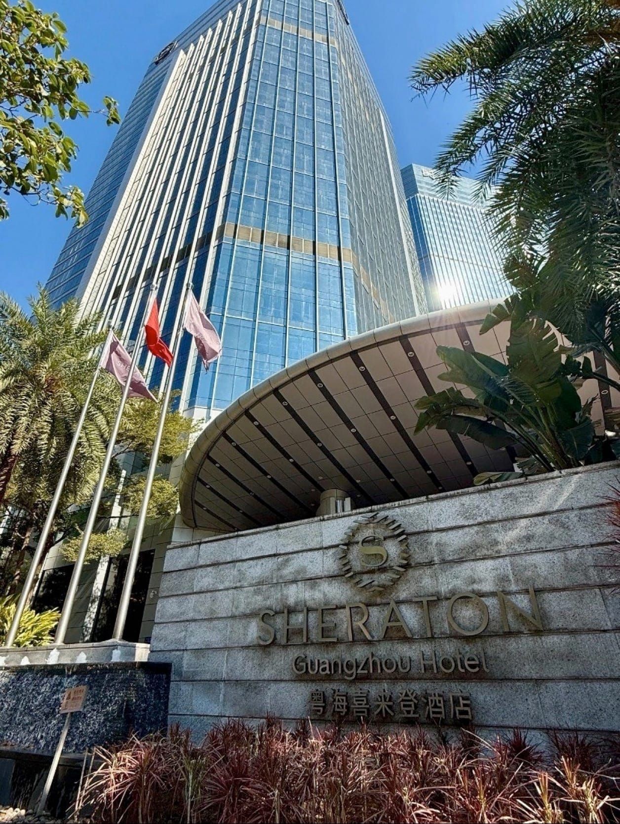 Khách sạn Sheraton Guangzhou Yuehai | Một viên ngọc ẩn mình giữa lòng quận Tianhe ✨