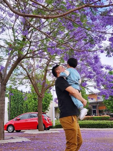 💜パースで思いがけず紫色の天蓋を発見！💜 | Trip.com パース