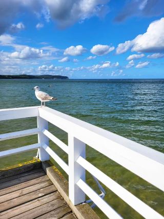 🌊 Sopot — Baltic Breeze & Seaside Memories 🇵🇱