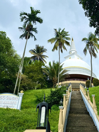 Sacred Kandy Trail🌿