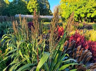 🌿 McCrory Gardens: Where Nature Creates Its Own Masterpiece 🌸🍂