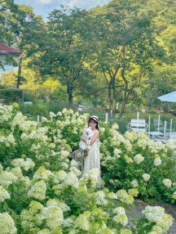 คาเฟ่ดัมยางเต็มไปด้วยดอกไฮเดรนเยียสไตล์ยุโรปแบบเรียลไทม์🍃💚 