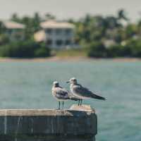 Southernmost Point of the Continental USA @ Key West