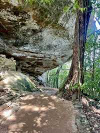 A must-visit in Sigiriya. 