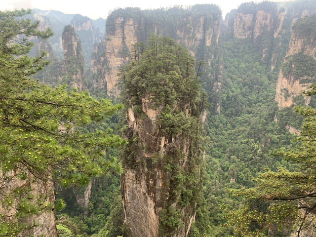 Zhangjiajie fairytail