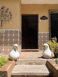 6 Days in Merida