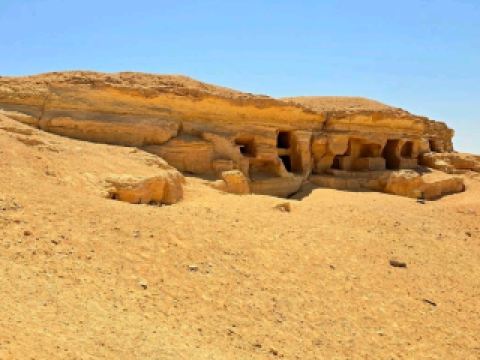 探索沙漠綠洲的神秘故事🌴