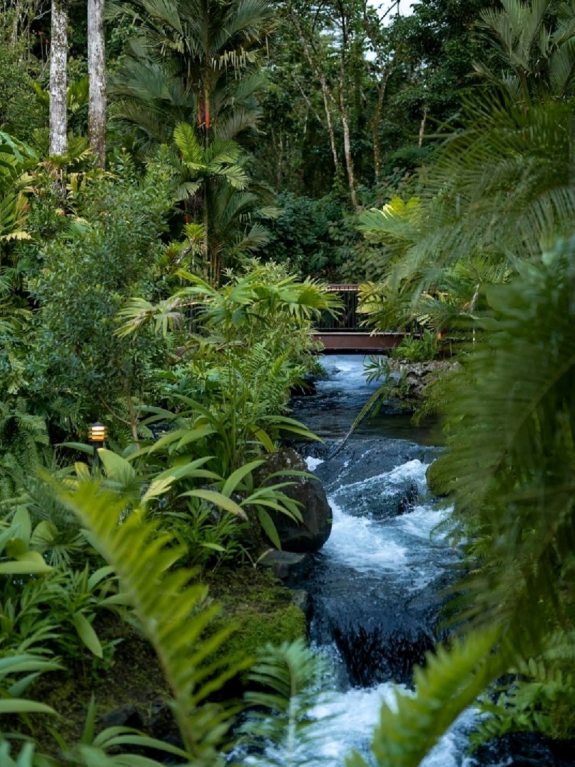 Relax for a day in a tropical paradise hot spring.