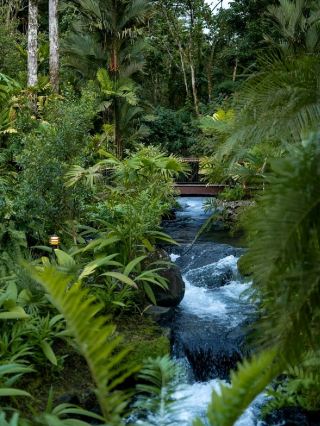 Relax in a tropical hot spring for a day