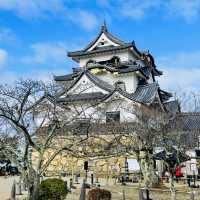 【滋賀県/国宝  彦根城🏯】