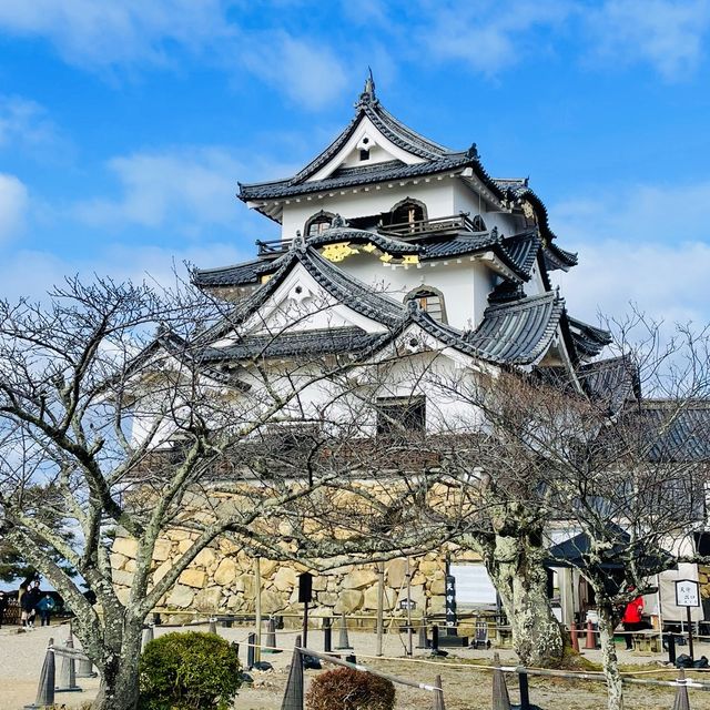 【滋賀県/国宝  彦根城🏯】