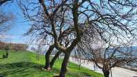 Florya Coast Park
