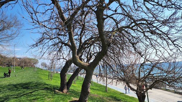 Florya Coast Park