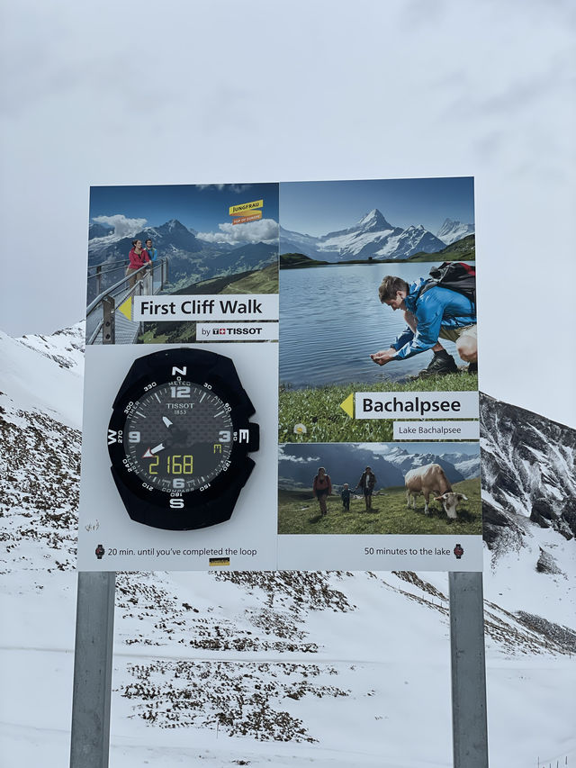 Amazing view in Grindelwalds Switzerland 🇨🇭