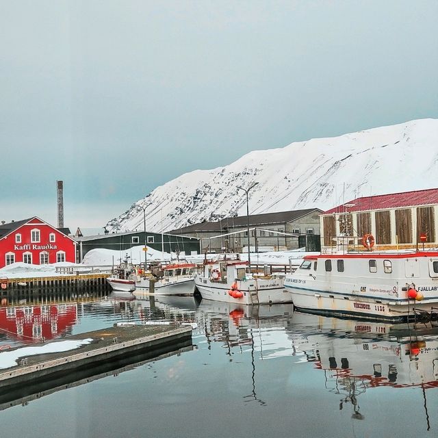 THE PICTURESQUE TOWN-SIGLUFJÖRÐUR 🇮🇸