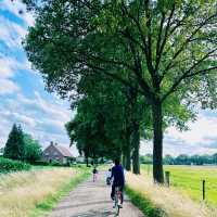"Eindhoven: A Foreigner’s Paradise in the Netherlands"