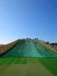 ☀️長井海之手公園 太陽之丘☀️體驗15米高的高空滑索